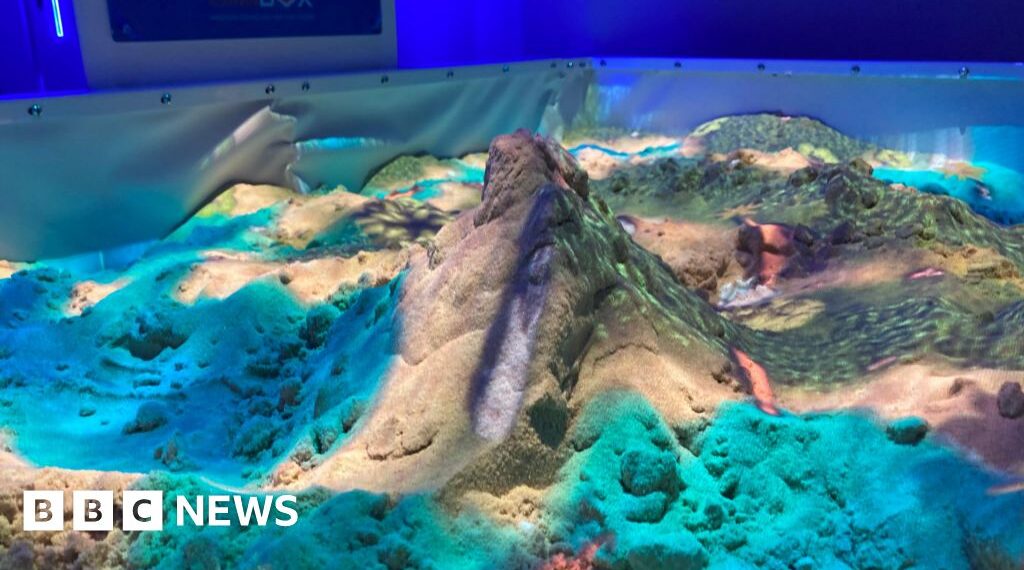 Wildlife park opens hub featuring erupting volcano