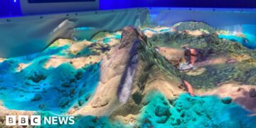 Wildlife park opens hub featuring erupting volcano