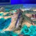 Wildlife park opens hub featuring erupting volcano