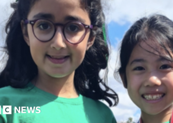 Woman charged over fatal Wimbledon school crash