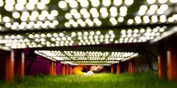 World Cup history will be made on this grass. These scientists have spent decades perfecting it