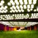 World Cup history will be made on this grass. These scientists have spent decades perfecting it