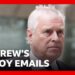 Palace was handed Andrew’s controversial envoy emails six years ago | BBC News