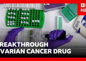 Breakthrough ovarian cancer drug offers patients more time and better quality of life | BBCNews