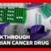 Breakthrough ovarian cancer drug offers patients more time and better quality of life | BBCNews