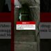 The 610m-long tunnel was discovered beneath a discount store in San Diego. #BBCNews