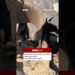 Part of a missile lands in the Israeli-occupied West Bank. #BBCNews