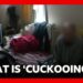 Inside ‘Cuckooing’: How gangs take over vulnerable people’s homes | BBC News