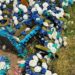 Ecologist calls for plastics ban in cemetery