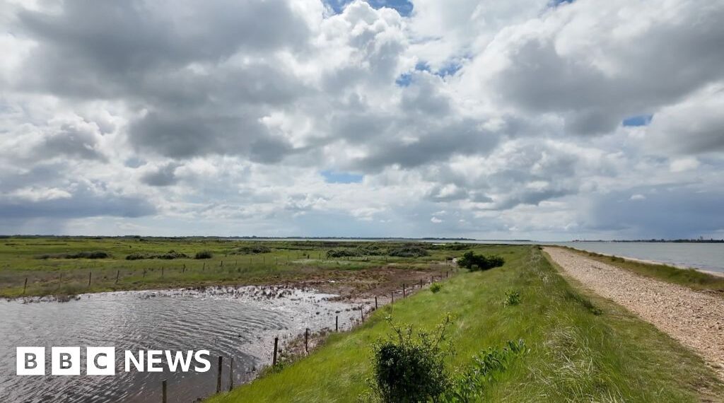 Failing sea defences 'disaster' for nature reserve