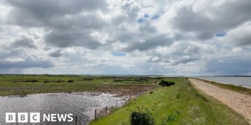 Failing sea defences 'disaster' for nature reserve