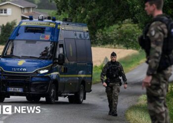 Fury in France after child murder suspect's criminal record released