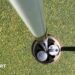Two Golf balls in a hole on the Royal Liverpool Golf Club course