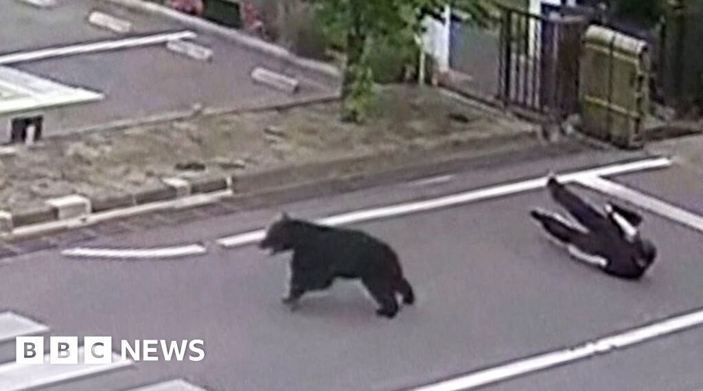 Man attacked by bear at steel works in Japan