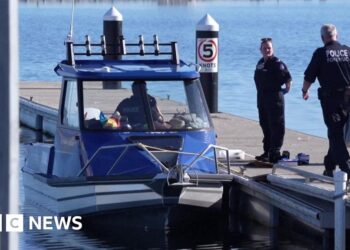 Man dies after bitten by shark in Western Australia, police say