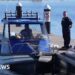 Man dies after bitten by shark in Western Australia, police say