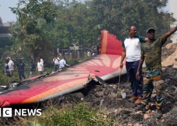 More time needed for deadly Air India crash inquiry, officials say