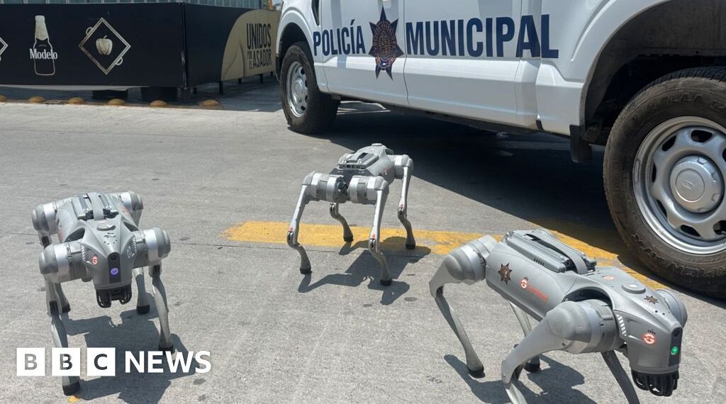 One Mexican city's approach to World Cup security