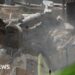 Palestinian anger at rise in Israeli demolitions in East Jerusalem