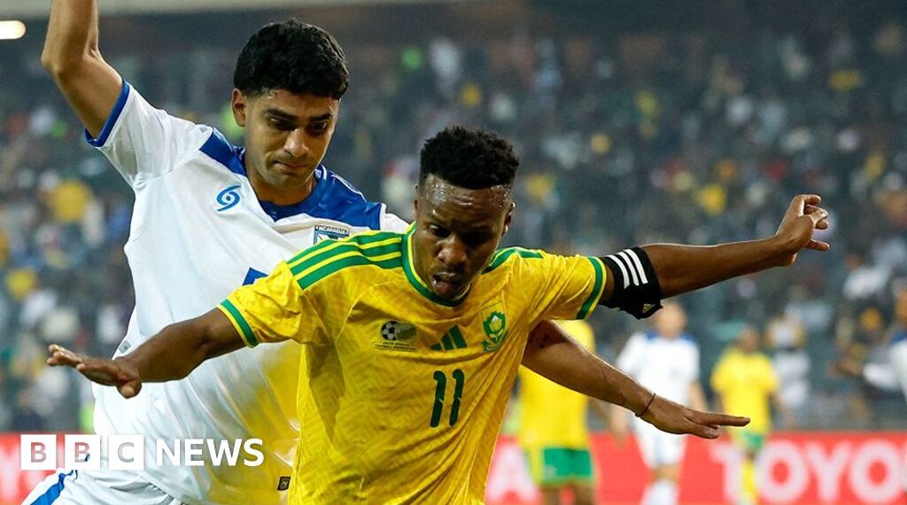 South Africa made to look like fools over World Cup visa issues, says minister
