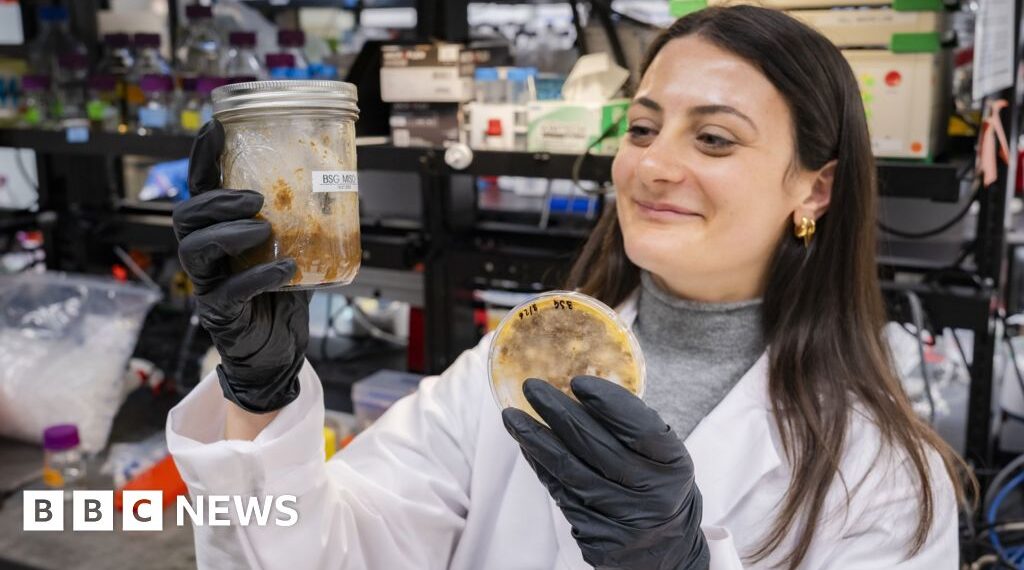 The ancient trick making food waste useful and tasty