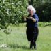 'Value of trees' in council's healthy spaces plan
