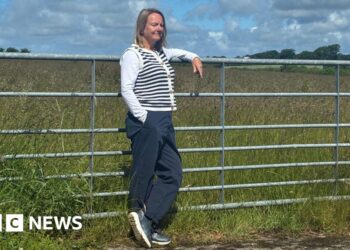 Villagers take fight against Lidl store plans to Welsh government
