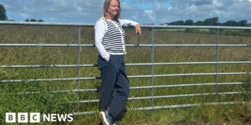 Villagers take fight against Lidl store plans to Welsh government