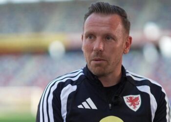Craig Bellamy speaks to the media