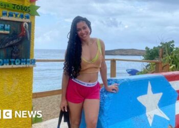 What do Puerto Ricans think of the viral song about their homeland?