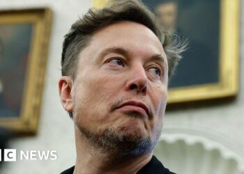 Who is Elon Musk and what is his net worth?