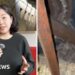 Why are devastating mice plagues happening in Australia?