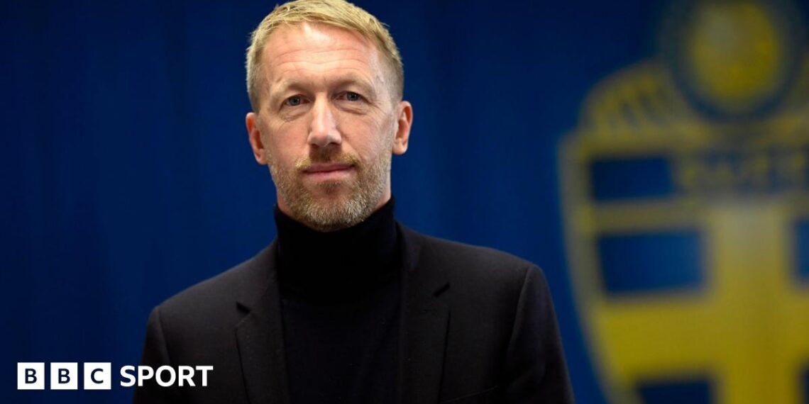 Graham Potter celebrates Sweden's World Cup qualification