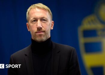 Graham Potter celebrates Sweden's World Cup qualification