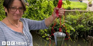 'Worrying' pollution in Cotswolds river - volunteers