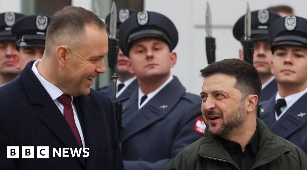 Zelensky under pressure to end row with Poland over WW2 name of army unit