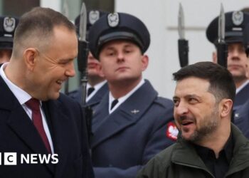 Zelensky under pressure to end row with Poland over WW2 name of army unit